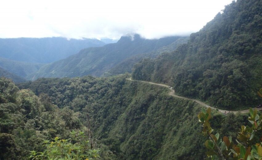 Yungas